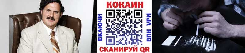 MEGA маркетплейс  Мичуринск  Кокаин FishScale 