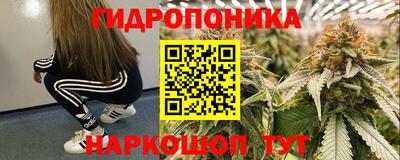 Альфа ПВП Гатчина