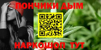 Альфа ПВП Гатчина