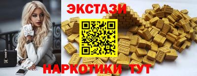 Альфа ПВП Гатчина