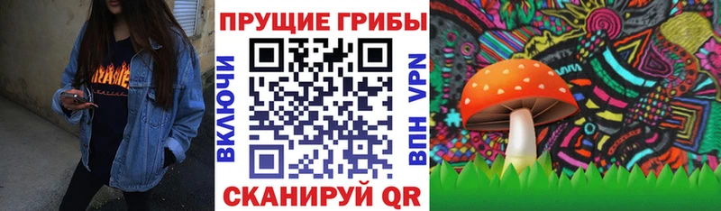 Галлюциногенные грибы GOLDEN TEACHER  кракен зеркало  Мичуринск 