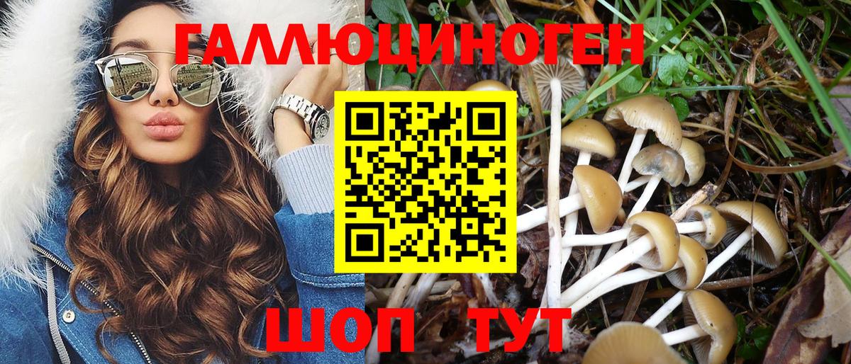Мичуринск  Псилоцибиновые грибы Cubensis  купить  сайты  Вход с VPN 