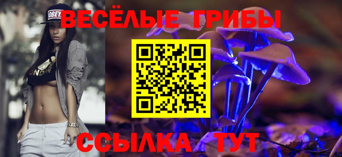 Галлюциногенные грибы прущие грибы Мичуринск
